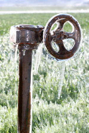 Taking Precautions to Avoid Frozen Pipes this Winter