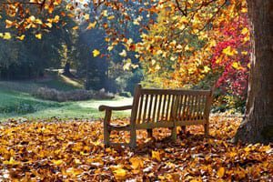 Get a Fall Furnace Maintenance Check Before Turning on the Heat